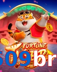 609bra