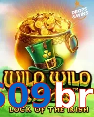 609bra