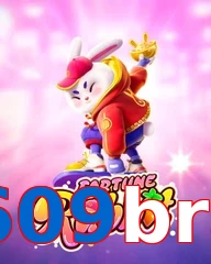 609bra
