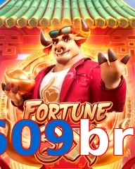 609bra