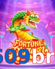 609bra